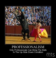 PROFESSIONALISM