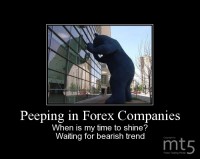 Peeping in Forex Companies