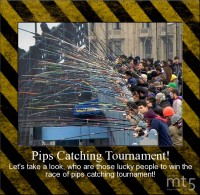 Pips Catching Tournament!