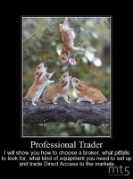 Professional Trader