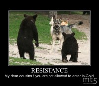 RESISTANCE
