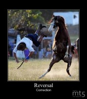 Reversal