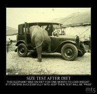 SIZE TEST AFTER DIET