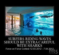 SURFERS RIDING WAVES SHOULD BE EXTRA CAREFUL WITH SHARKS