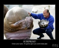 SURPRISE!