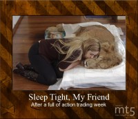Sleep Tight, My Friend