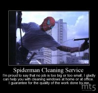 Spiderman Cleaning Service 