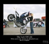 The Law Of Life