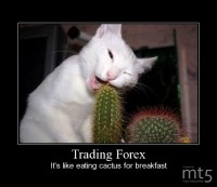 Trading Forex