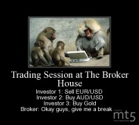 Trading Session at The Broker House