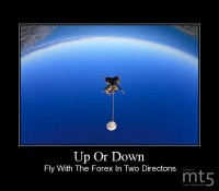 Up Or Down