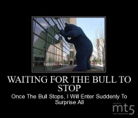 WAITING FOR THE BULL TO STOP