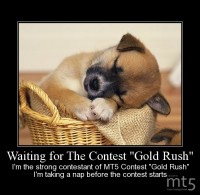 Waiting for The Contest ˮGold Rushˮ