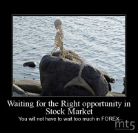 Waiting for the Right opportunity in Stock Market