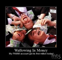 Wallowing In Money