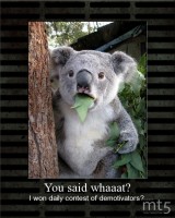 You said whaaat?
