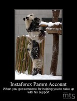 Instaforex Pamm Account