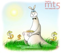 IMF to give AUD and CAD reserve status