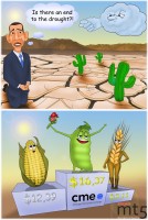 Soybean Price Hits All-Time High