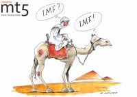IMF will grant 3 billion dollars aid to Egypt