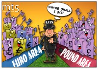 UK sets up Pound Area