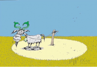 Dollar weakens amid eroding confidence in US policy