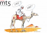 МВФ одолжит Египту 3 миллиарда долларов