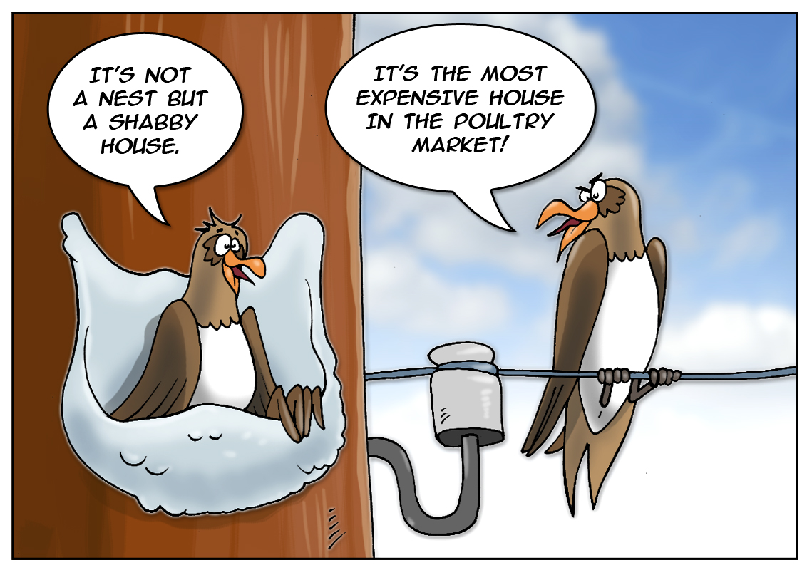 https://forex-images.mt5.com/humor/24de5308949fea7ab1d3539d7384c896.jpg