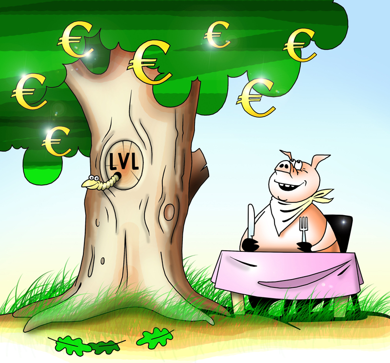 Latvia to spend &euro;400,000 on euro popularization