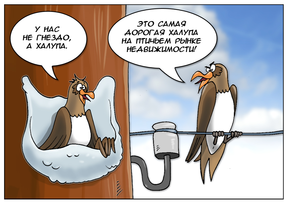 Дорогой деликатес: Мы настроены серьезно и заставим мир есть гнезда!