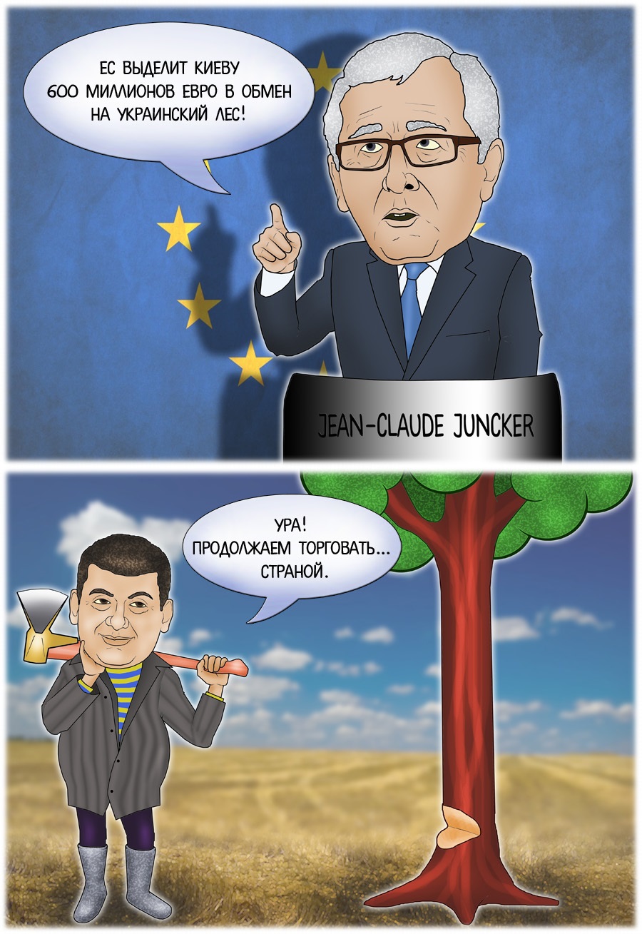 ЕС выделит Киеву 600 миллионов евро в обмен на украинский лес