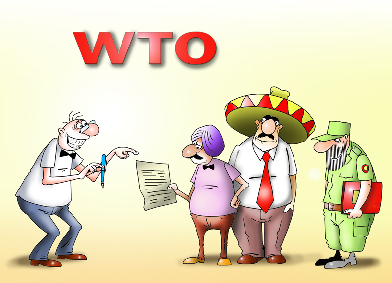 WTO hammers out historic trade deal 