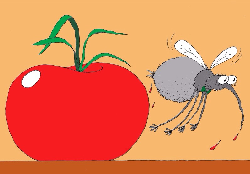 Heinz pays its new CEO 12 times less than its predecessor