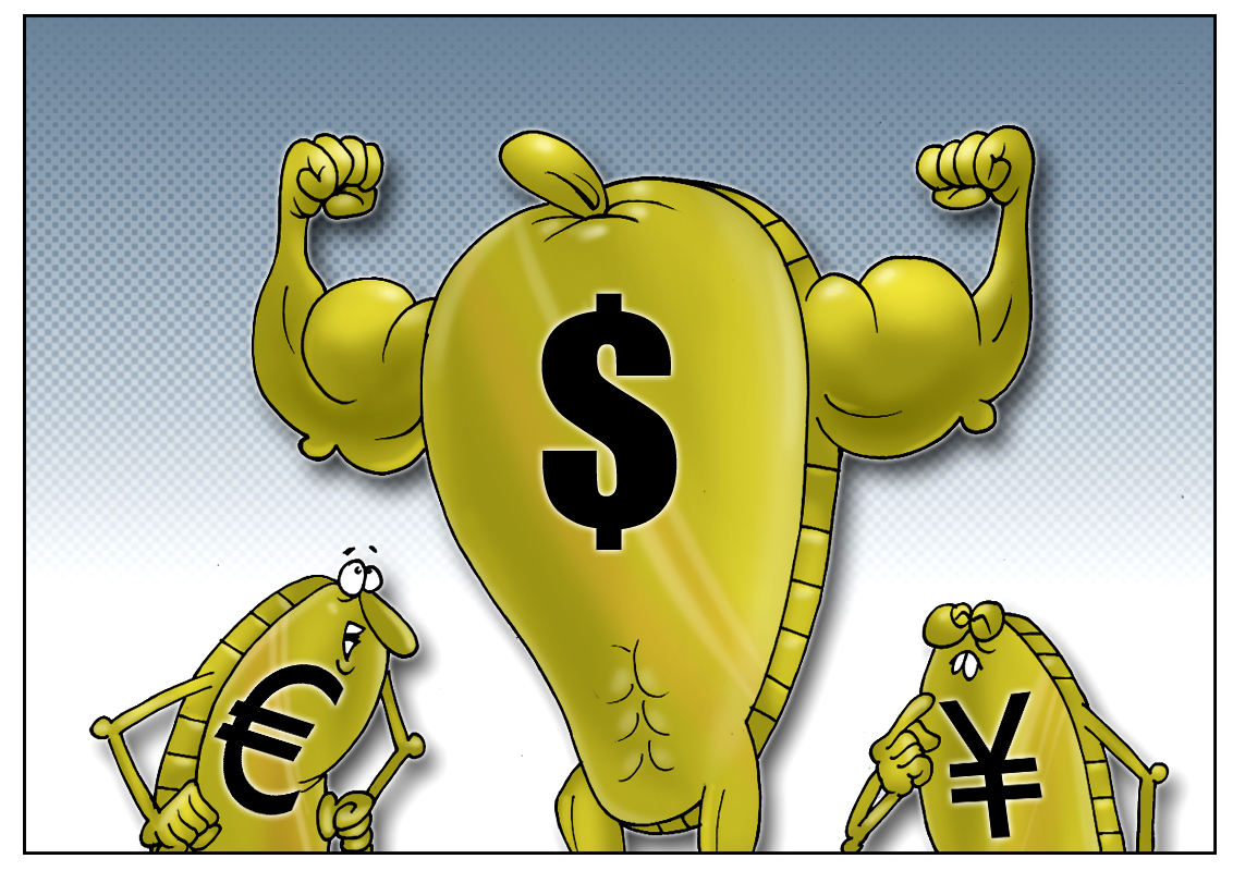 Высокая скорость подъема к вершинам курса, или доллар строго вверх!