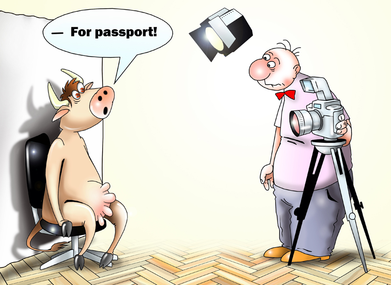 Ukraine to register all its cows and pigs