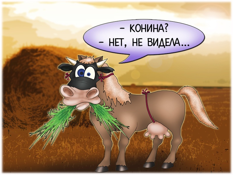https://forex-images.mt5.com/humor/990a3d4ea0676380dffa4d359623717d.jpg