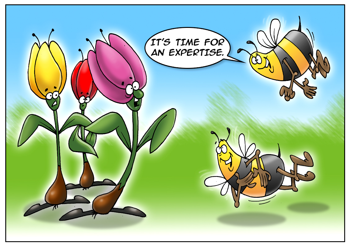 https://forex-images.mt5.com/humor/9d37c309f81de1b40ff12998ef8b33d2.jpg