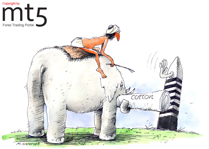 India melarang ekspor kapas