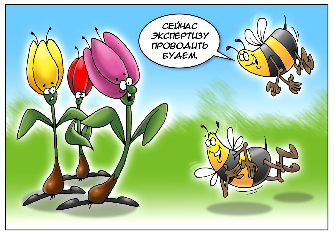 Россельхознадзор: Мы четко разбираемся в вопросах красоты — и будем инспектировать голландские цветы