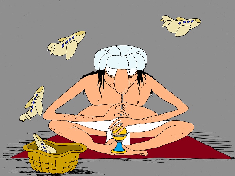 IndiGo пополнит свой парк самолетами от Airbus