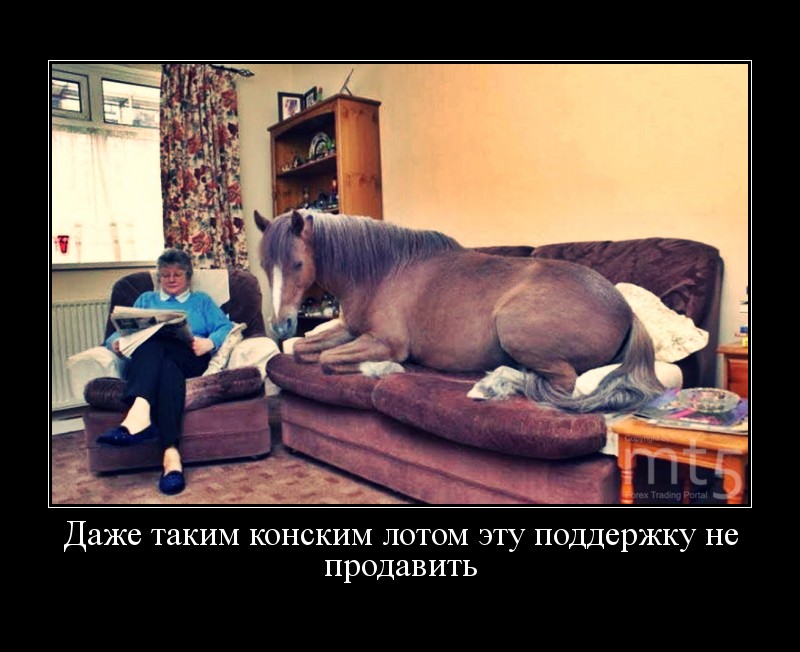 Мужчина привел коня в квартиру