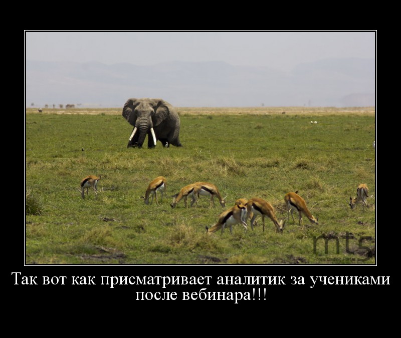 Век воли не видать прикольные картинки