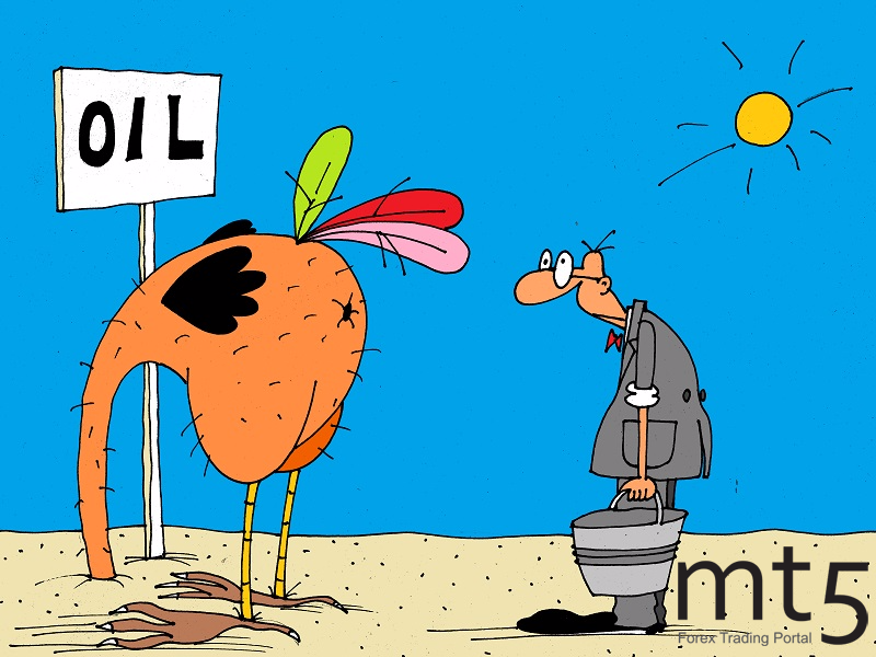 https://forex-images.mt5.com/humor/img59b933b249ded.png