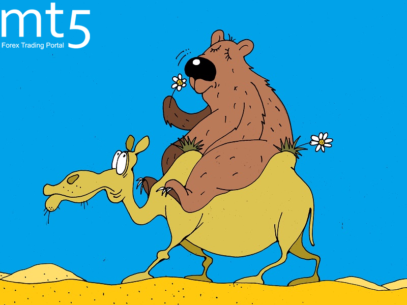 https://forex-images.mt5.com/humor/img59d4e44ae042f.png