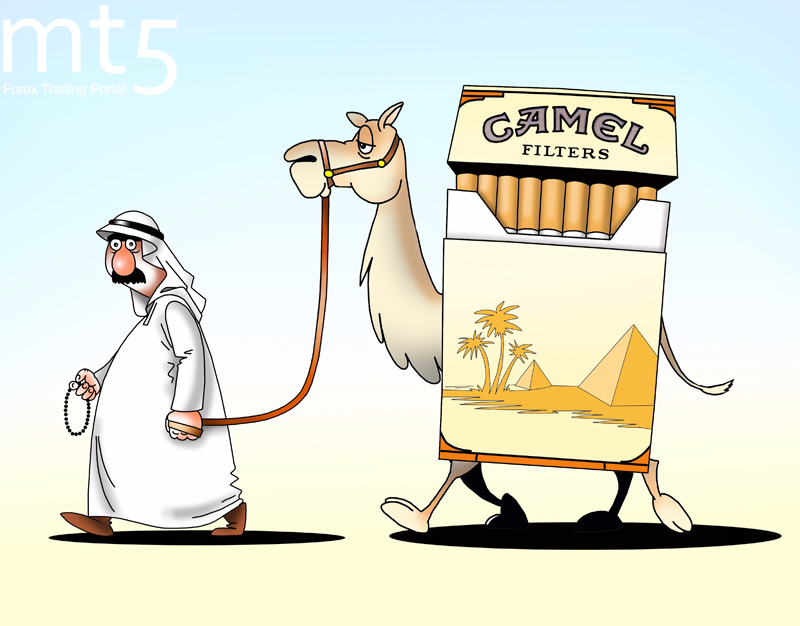 https://forex-images.mt5.com/humor/img59d74a93aab18.png