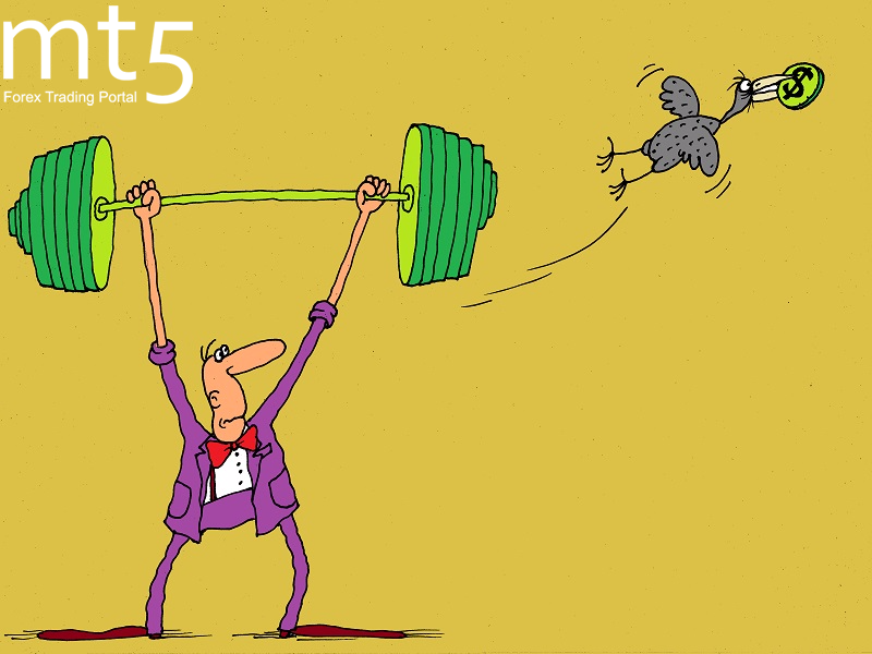 https://forex-images.mt5.com/humor/img5a281277f6778.png