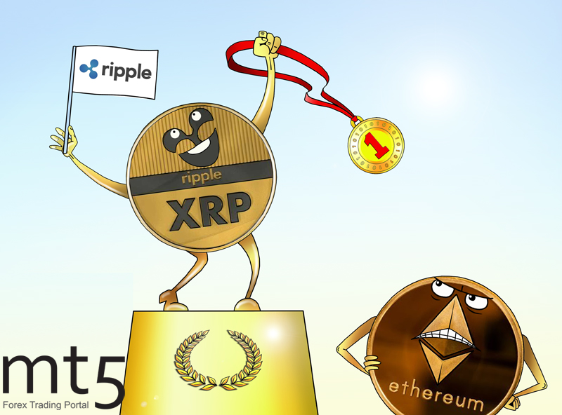 https://forex-images.mt5.com/humor/img5a4e117a17d41.png