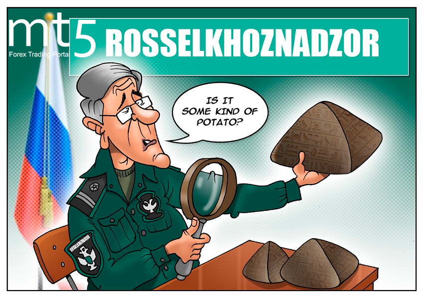 https://forex-images.mt5.com/humor/img5ac7933145323.png