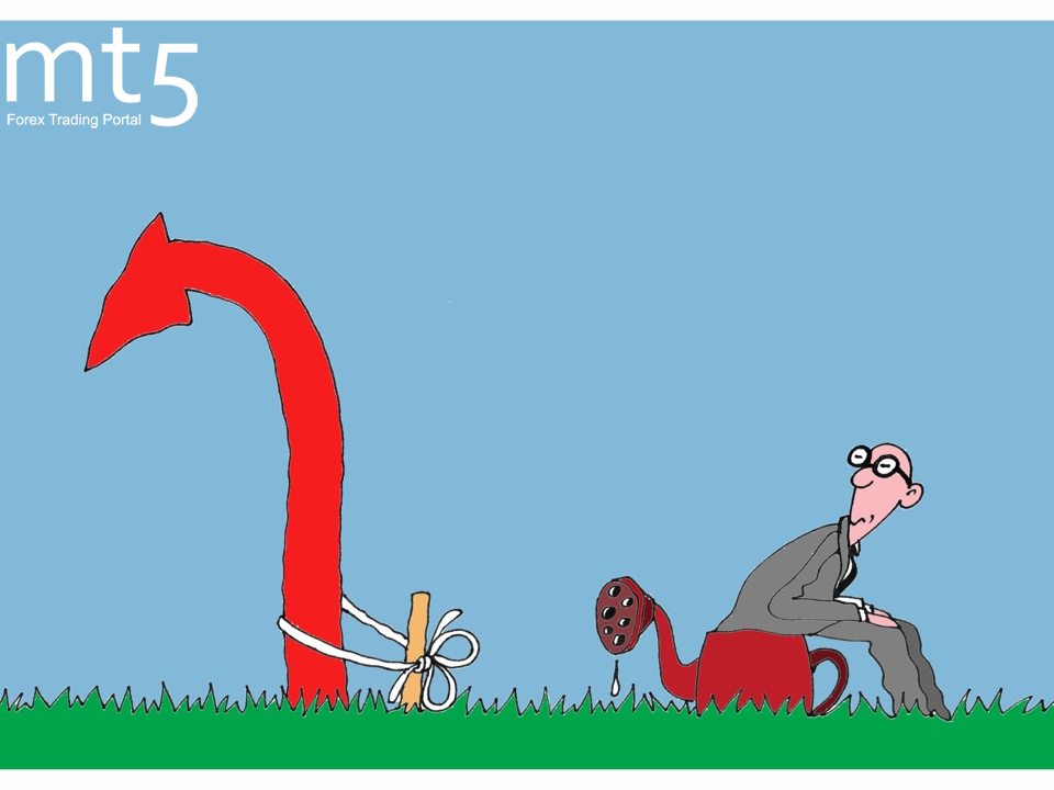 https://forex-images.mt5.com/humor/img5af4149353af2.png