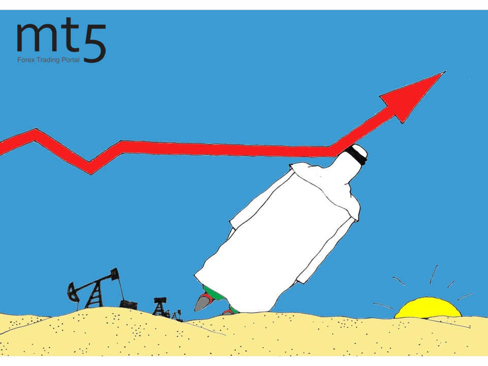 https://forex-images.mt5.com/humor/img5bc854531d13c.png